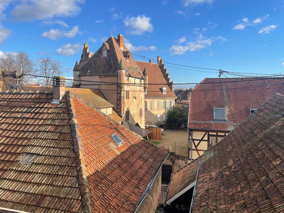 3 Pieces Centre Ville Ville Pittoresques Parking Gratuit A 5 Minutes A Pied Obernai Exterior foto